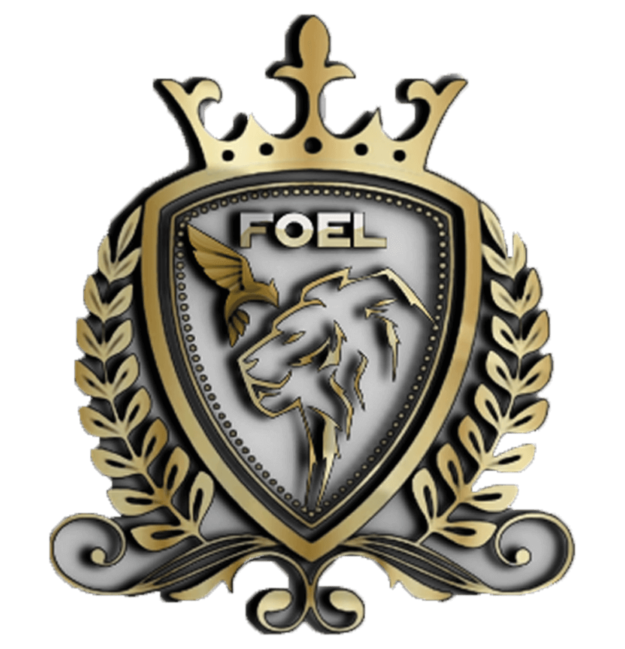 FOEL 3D Logo (1)